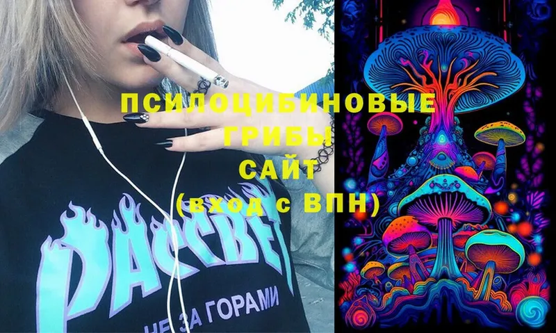 Псилоцибиновые грибы Psilocybine cubensis Вязьма